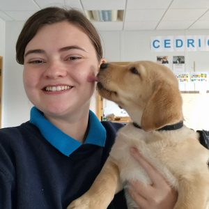 Canine Lead Dog Services