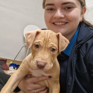 Canine Lead Dog Services