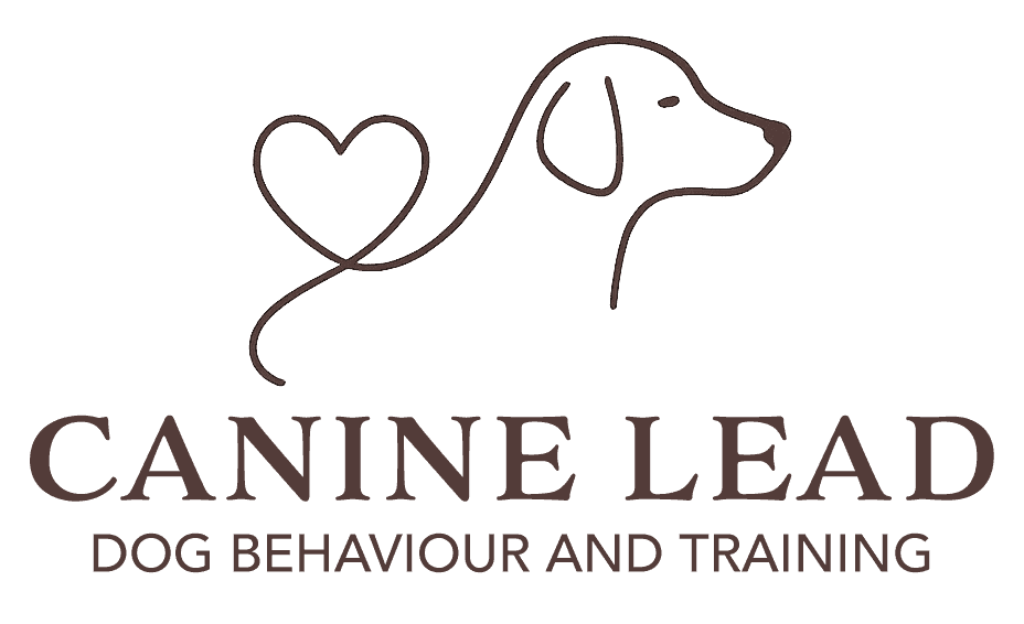 Canine Lead Dog Services